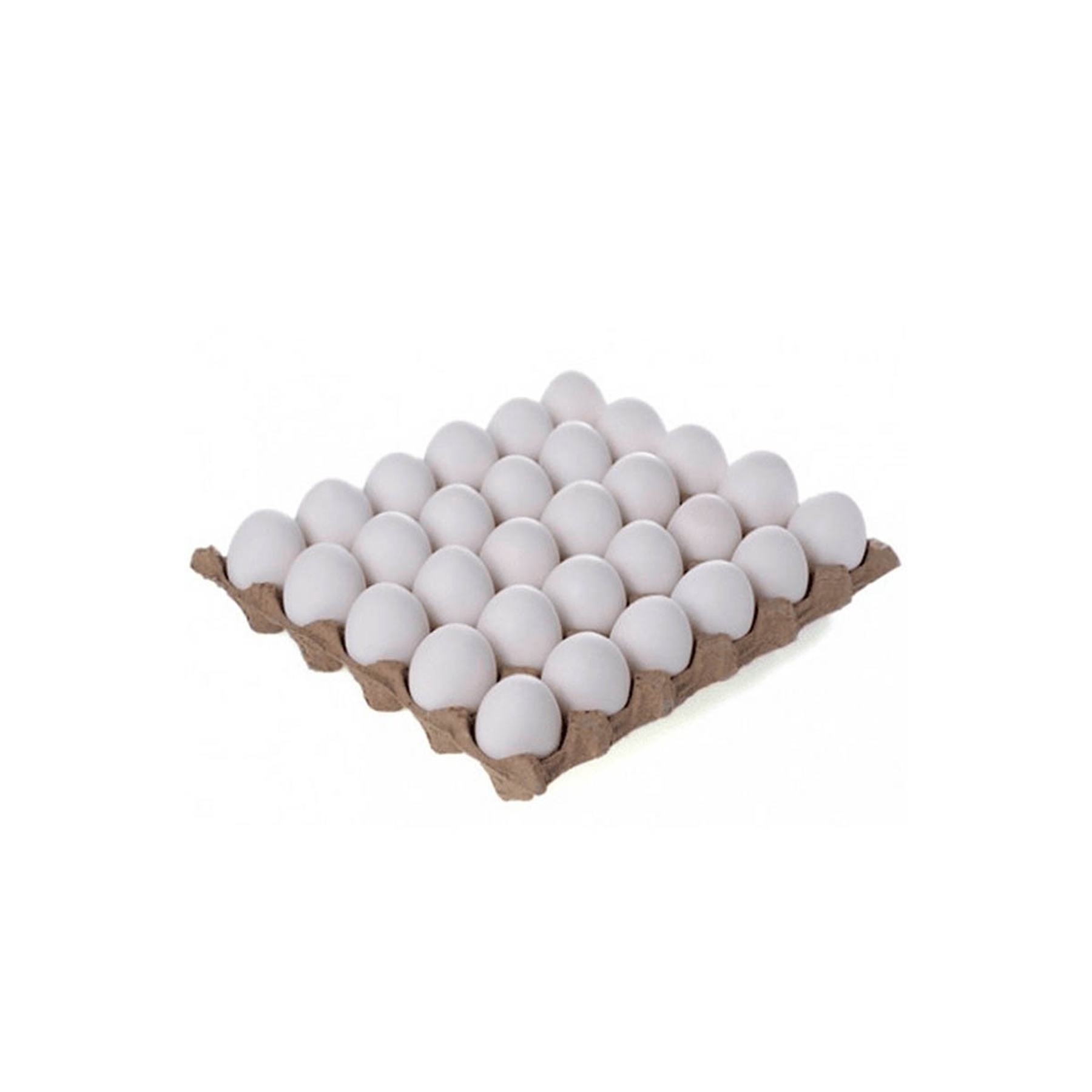 CARTON DE HUEVOS